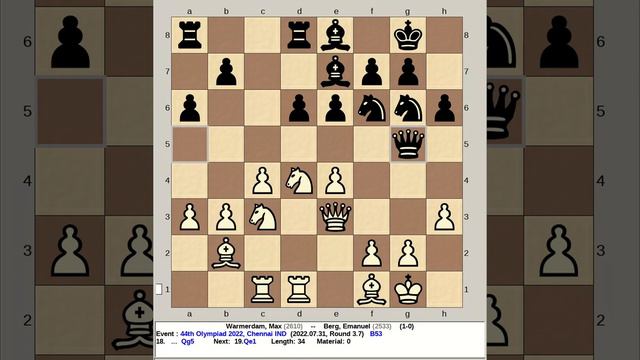 Warmerdam, Max vs Berg, Emanuel | 44th Chess Olympiad 2022, Chennai India смотреть онлайн