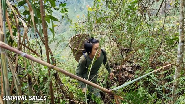 Survival skills, skills to dig mice, get food for wild boars, survive in the forest, survival skill смотреть онлайн