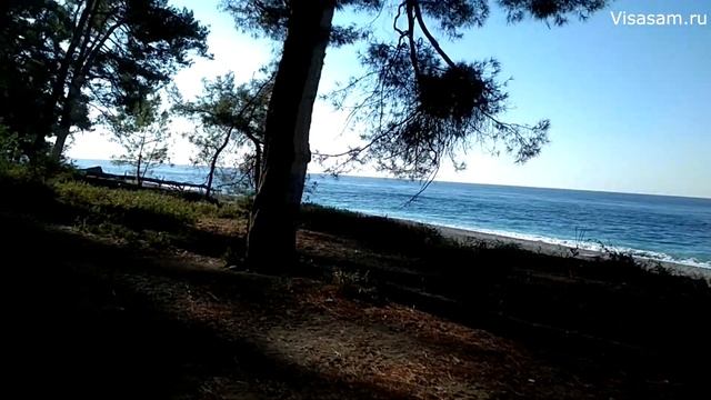 Погода, море и цены в Абхазии в Пицунде осенью в сентябре-октябре в 2023 г:что скрывают туроператор смотреть онлайн