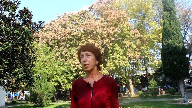 Мыльное дерево смотреть онлайн