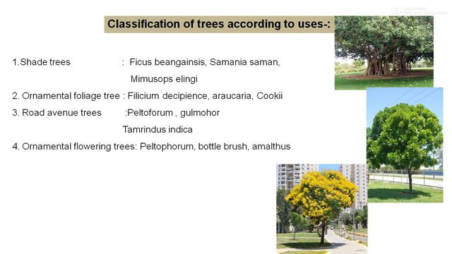 Landscape Uses Of Tree, Shrub And Climber By Prof. A. C. Jadhav
