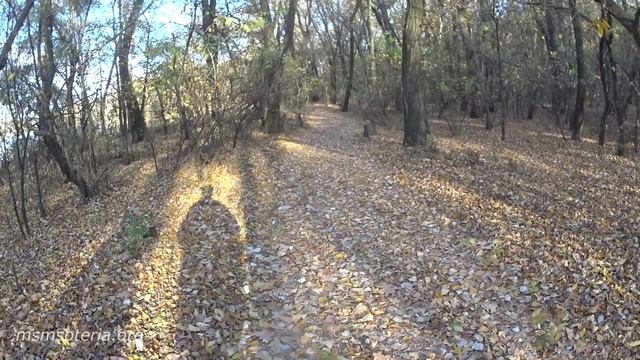 Псалтирь Псалом 11 Слушать. Псалом Давида. Смотреть Видео смотреть онлайн