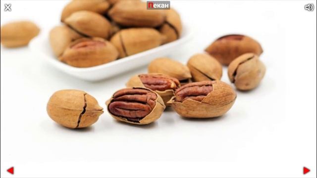 Орехи - названия с картинками для детей! смотреть онлайн