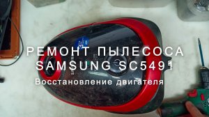 Пылесос Samsung SC5491 не включается и пахнет гарью? Быстрый ремонт двигателя своими руками