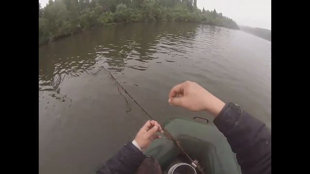 ДЕНЬ ОГРОМНЫХ СУДАКОВ!!!Перемет,перетяга на судака с лодки ПВХ! Zander fishinq. смотреть онлайн