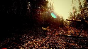 Поехали на ремонт вездехода ( газ 71). Заключительная часть.