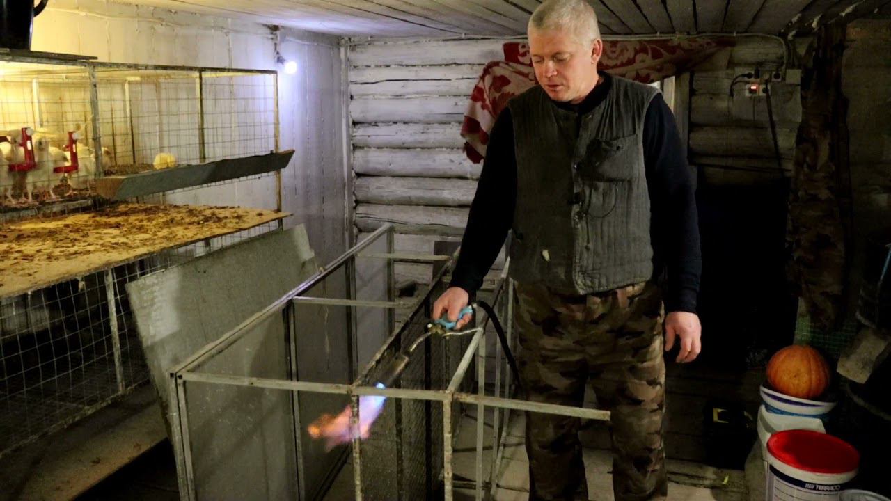 Переделываю брудер под железо Обработка огнем от кокцидий смотреть онлайн