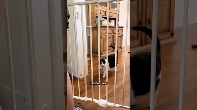 Chapter 110: Here’s some of our most viral, & memorable videos in the last two years. We ❤️you all смотреть онлайн