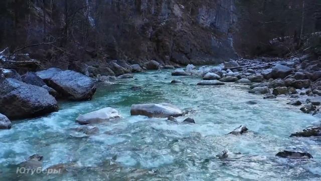 Спасая медвежат из ледяного плена, лесник и представить не мог, как его отблагодарит медведица...