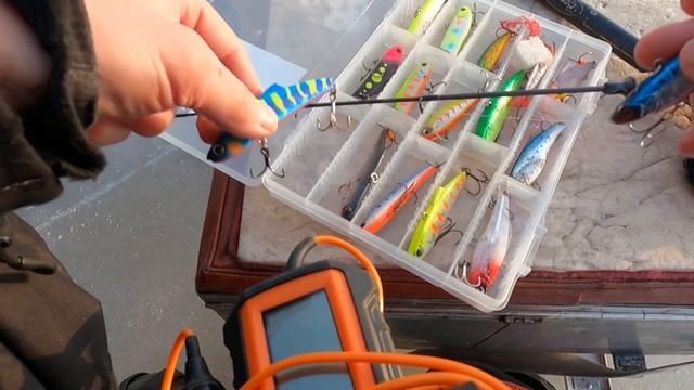 СУДАКИ на оз. ВОЛГО. В ПОИСКАХ ХИЩНИКА. СПОСОБ ЛОВЛИ: ЖЕРЛИЦЫ И ВИБЫ. ТЮЛЬКА И КАРАСЬ. ЧТО РАБОТАЕТ смотреть онлайн