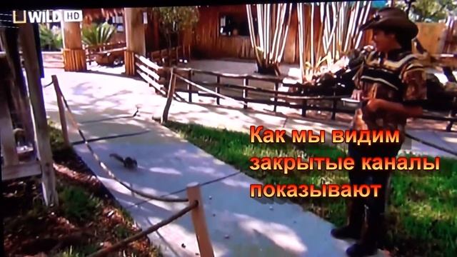 Что такое Картшаринг смотреть онлайн