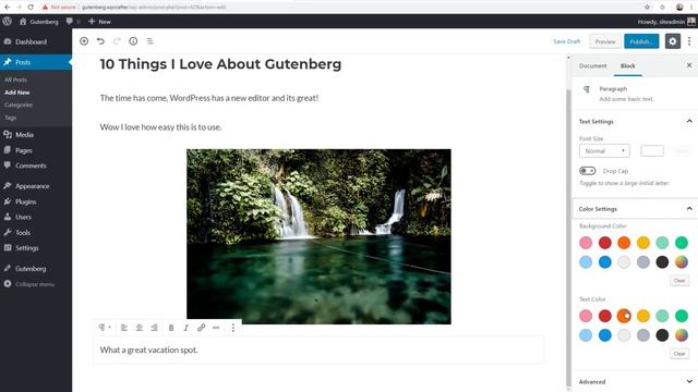 WordPress Gutenberg Tutorial For Content Writers & Editors смотреть онлайн