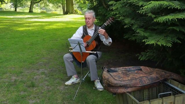 Schloss Reinbek 公園內 吉他獨奏 смотреть онлайн