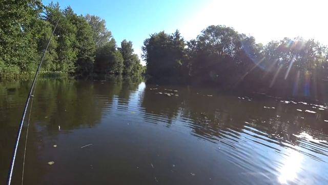 РЫБАЛКА НА УТРЕННЕЙ ЗОРЬКЕ! Поклевки Одна за одной! смотреть онлайн