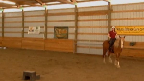 No Bits No Spurs Horse Training with Holistic Horse Trainer Missy Wryn | Iron FREE Riding