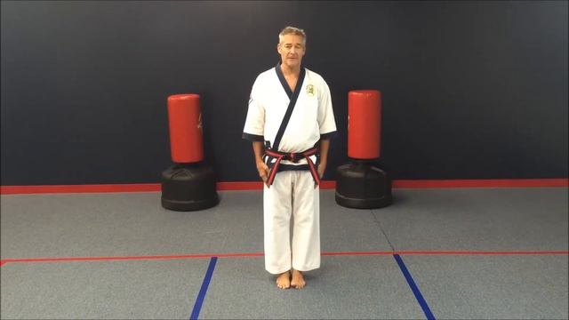 Online Karate: The Karate Attention Stance смотреть онлайн