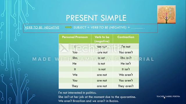 Present Simple: verb to be, question words and examples смотреть онлайн