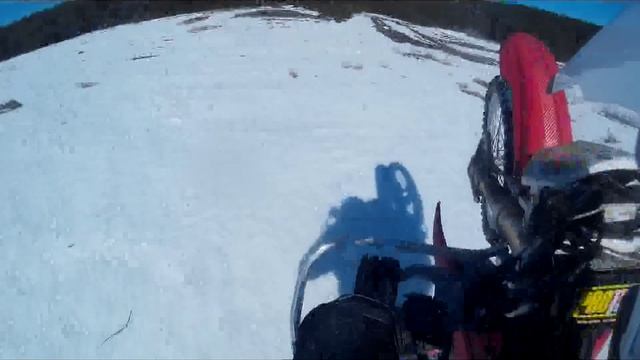 Forsage 450 встречает весну.