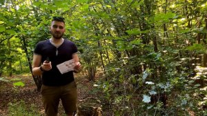 Лучший Спайдерко? - Обзор и тест ножа Spyderco Shaman