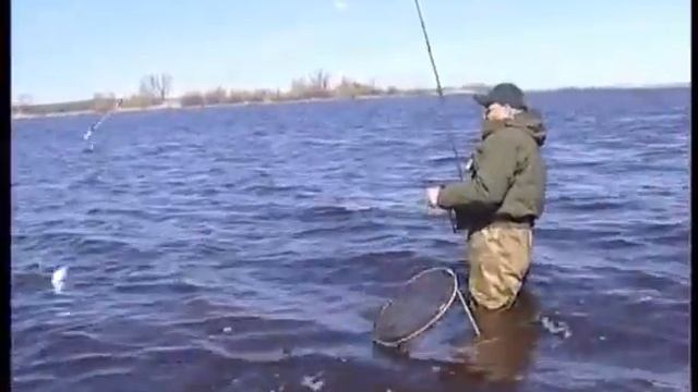 Рыбачьте с нами 05 смотреть онлайн