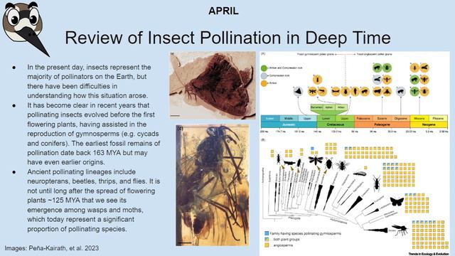 Nature News: April–May 2023 смотреть онлайн