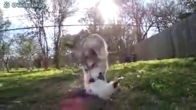 Как воспитывать ребенка / correct mother смотреть онлайн