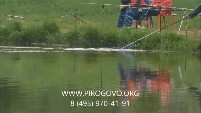 Платная рыбалка смотреть онлайн