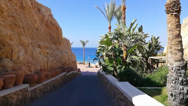 Reef Oasis Beach Resort, Part 1 #Sharmelsheikh2023 #egypt смотреть онлайн
