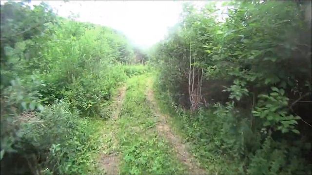 Ярославль - Тутаев 06.18 смотреть онлайн