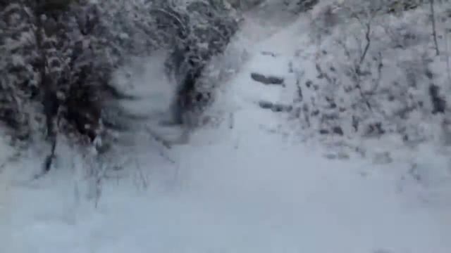 PRÉSENTATION MAX ADVENTURE смотреть онлайн