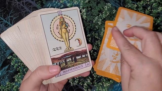 My Astrology Decks - Tarot/Oracle Collection Declutter Series Pt. 4 - My Deck Collection 2022 смотреть онлайн