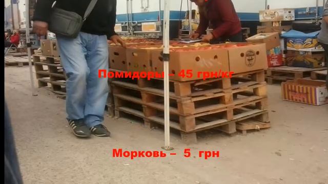 Цены на рынке Копани 10 апреля смотреть онлайн