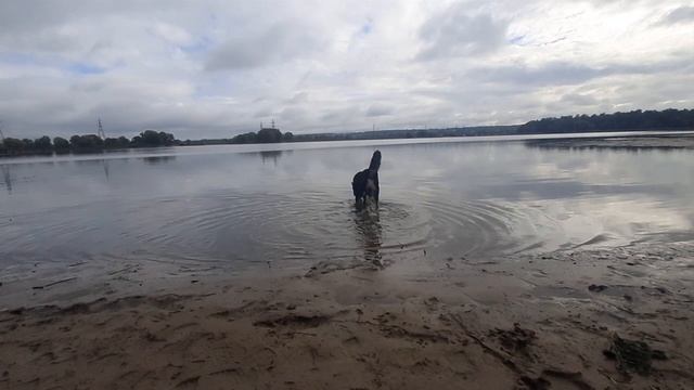 zontag220911.mp4 смотреть онлайн