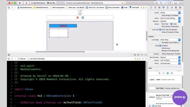MacOS Text Fields in Xcode | Build MacOS desktop apps смотреть онлайн