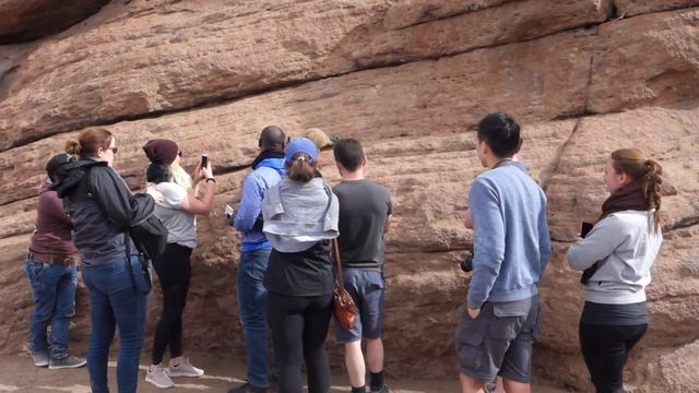 Туристы кормят вискача в Боливии смотреть онлайн