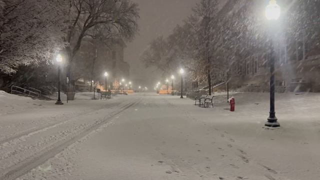 Relaxing Snowfall - Gentle Sound of Falling Snow - 10 hours смотреть онлайн