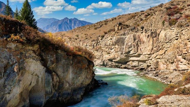 749. ♫..Mozart - "Piano Concerto No. 21 in C major, K. 467, "Elvira Madigan": II. Andante " смотреть онлайн