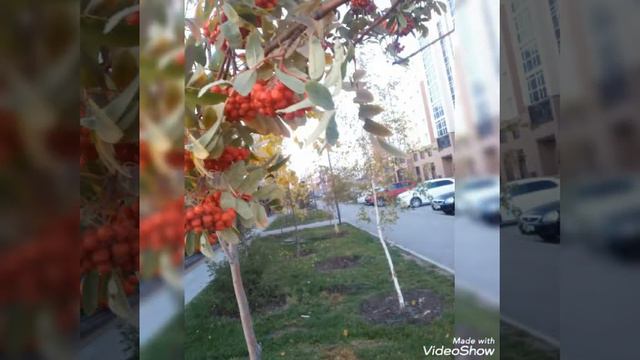 Поздний сентябрь Астана. смотреть онлайн