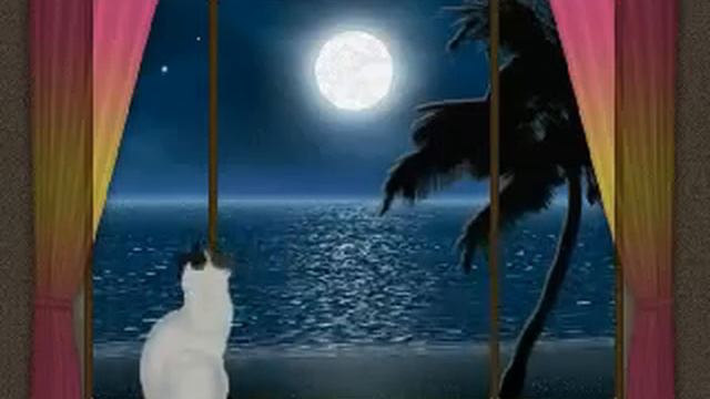 Moon Cat Screensaver смотреть онлайн