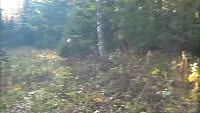 Гора МонбланТаганай 27 28 09 2020 смотреть онлайн