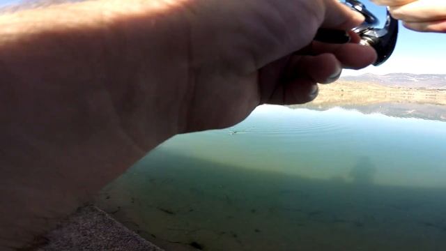 Ратлины лучшая приманка по щуке,хочешь поймать,ставь ратлин!!!