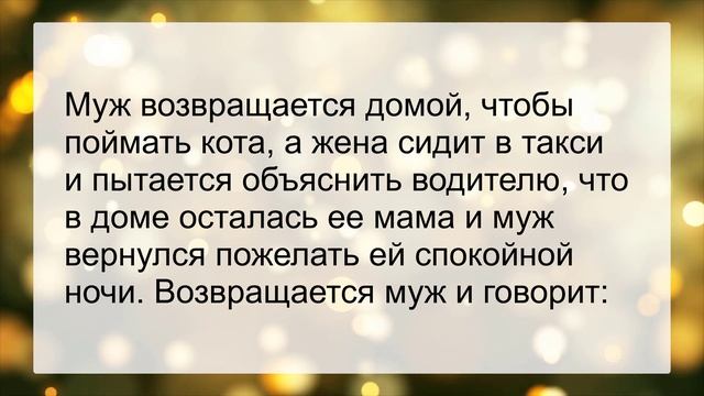 Мужик в возрасте приехал к любовнице... Сборник смешных анекдотов! Юмор! смотреть онлайн