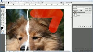 Разрываем фото на части в фотошоп