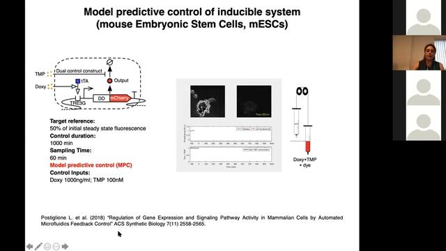 Dr Lucia Marucci: Modelling and controlling complex dynamics in mammalian cells смотреть онлайн