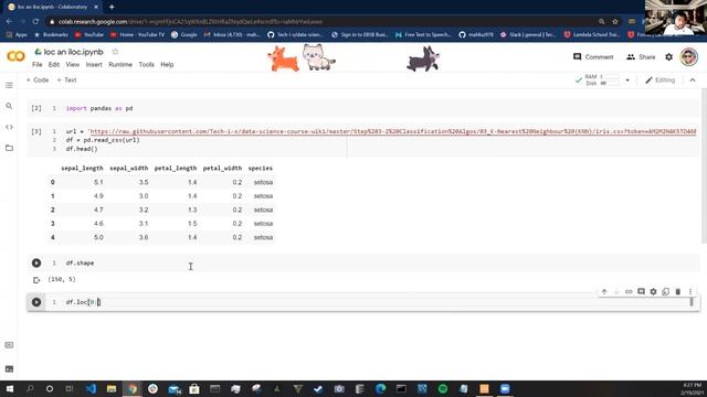 loc and iloc Tutorial смотреть онлайн