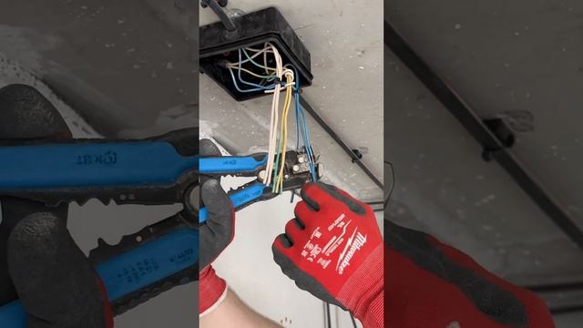 Как соединить многожильный и одножильный провод – и сделать это правильно? ?