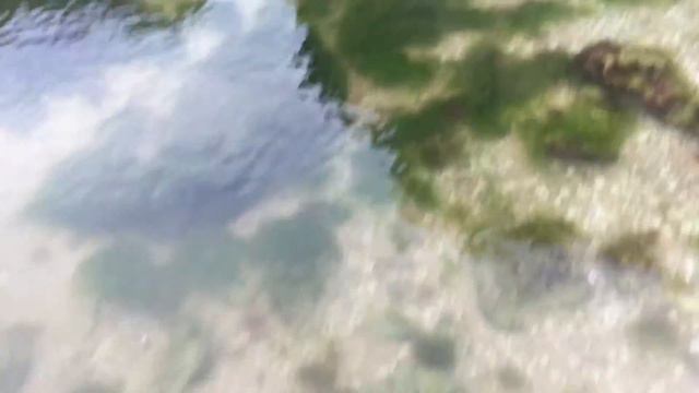 Бухта на генеральских, скала Нифертити, Азовское море 25 мая 2016. смотреть онлайн