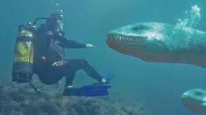 Карадагский змей обнаружен  в Черном море у берегов Анапы. Съемки очевидцев. Мнение ученых