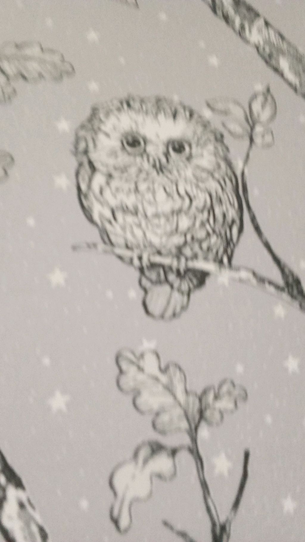 трансляция