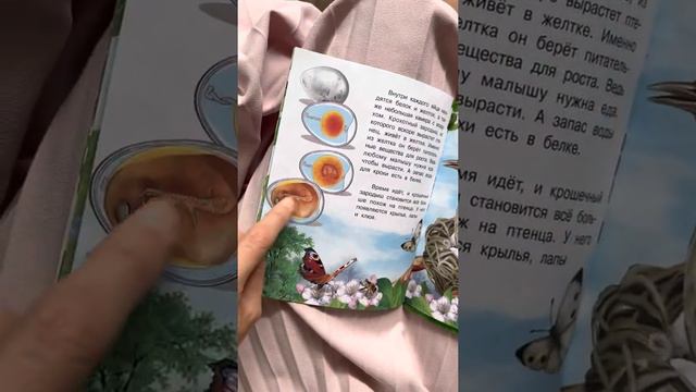 Как появляется..Лягушка, Цветок. смотреть онлайн